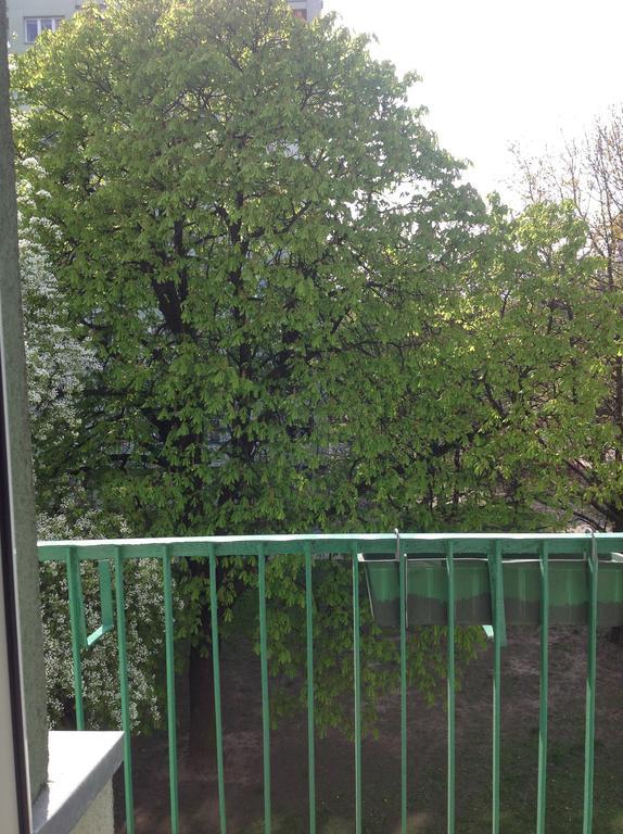 Kazimir Apartament Lodz エクステリア 写真